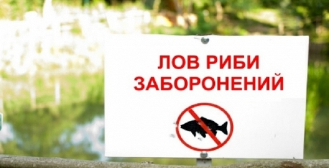 В Україні продовжується нерестова заборона на вилов риби